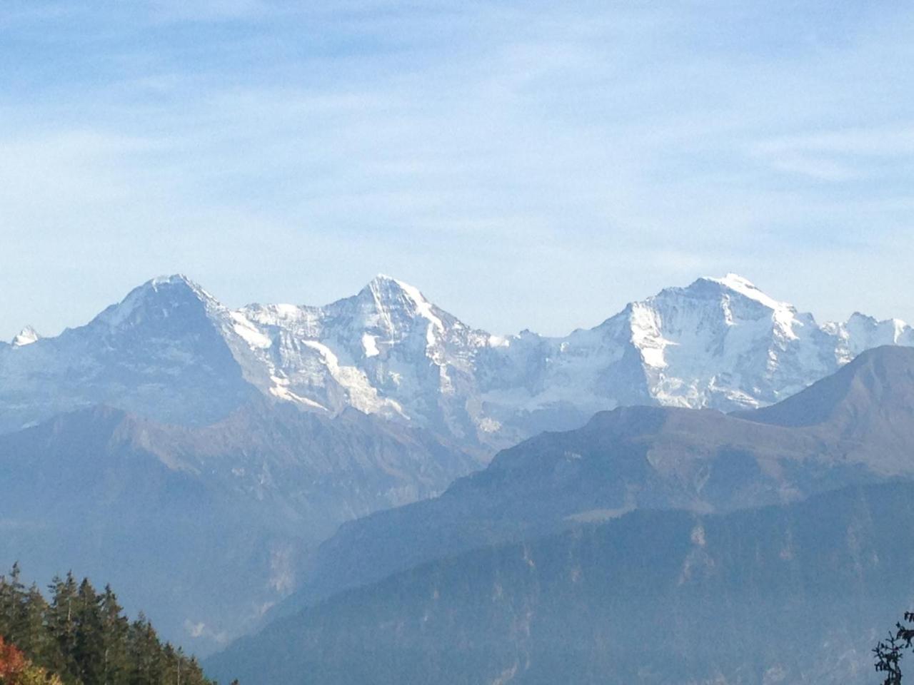 Swiss Seeblick Apartment Mit Hotelanbindung Beatenberg Bagian luar foto
